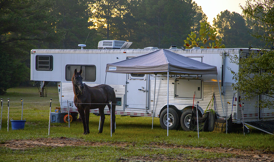 horse trailer set up for camping with horses in adjoining pen